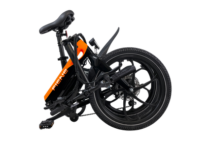 Fiene eBike