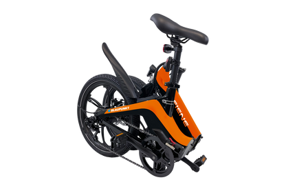 Fiene eBike