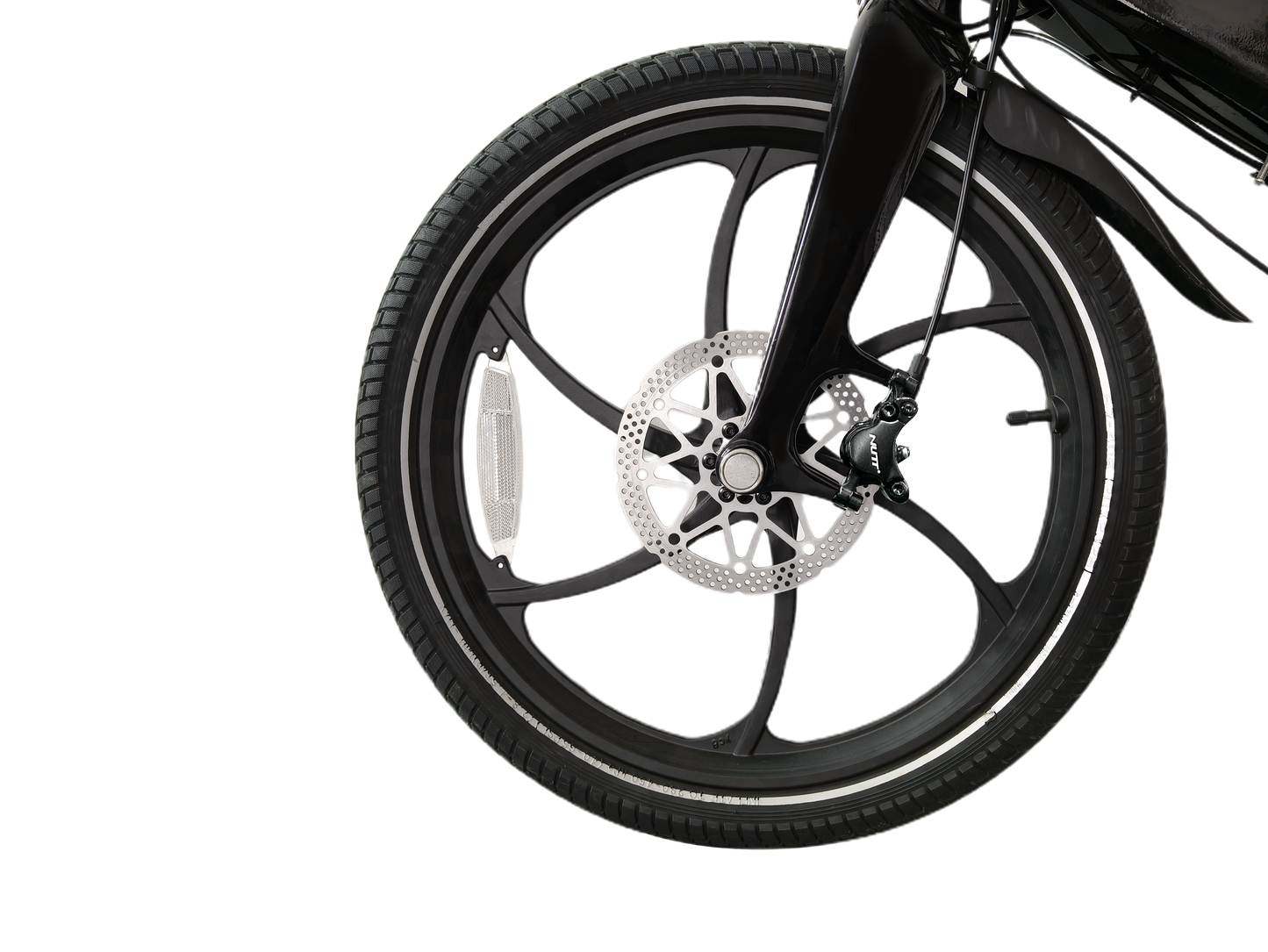 Fiene eBike