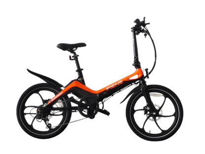 Fiene eBike