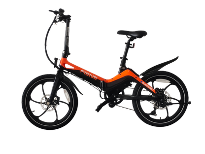 Fiene eBike