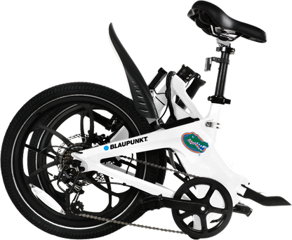 University of Florida eBike