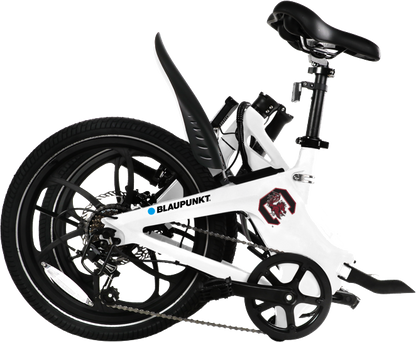 University of South Carolina eBike